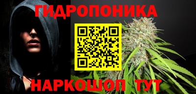 стаф Северобайкальск