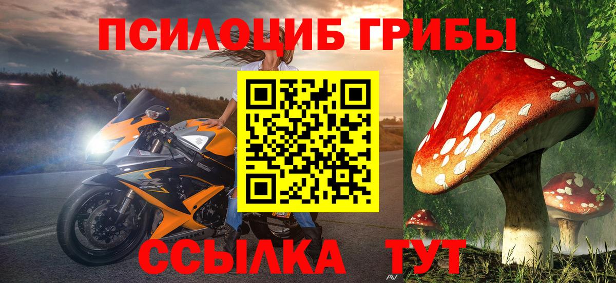 Ливны  Галлюциногенные грибы Psilocybe  Вход с VPN 